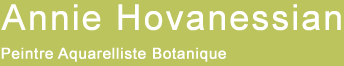 logo Hovanessian